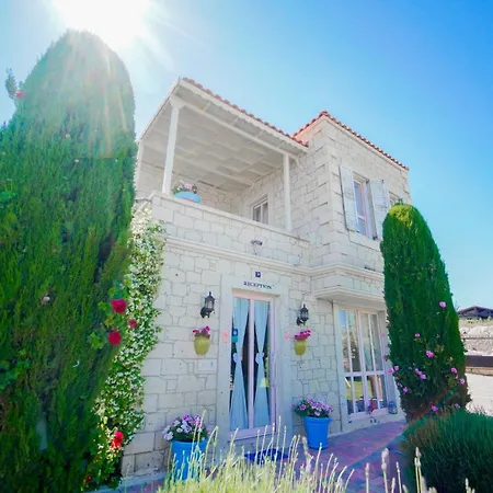 Marina Palace Πανδοχείο 2*