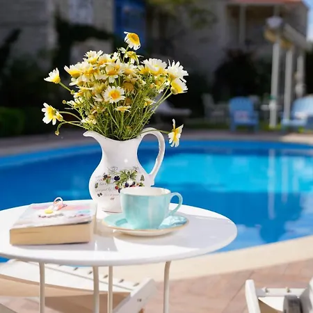 Han/Misafirhane Marina Palace 2*