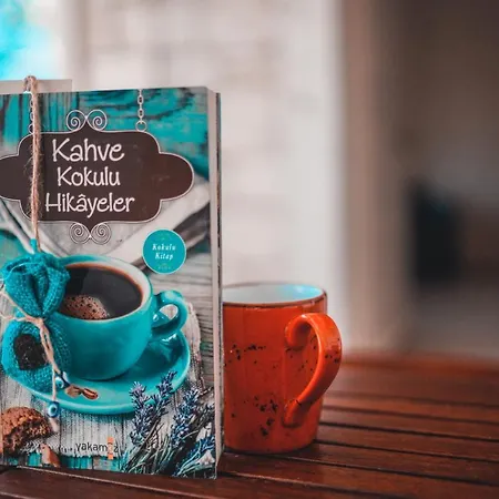 Han/Misafirhane Marina Palace 2*